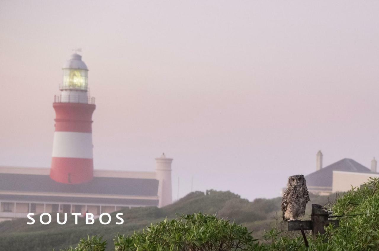 Soutbos & Janfrederik Apartment Agulhas Exterior foto